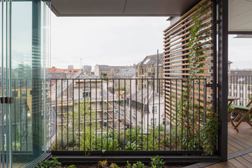 Sanierter Balkon mit Pflanzen und einer Balkonverglasung