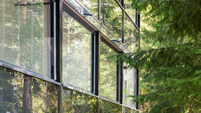 Verglaste Balkonfassade neben einem Baum