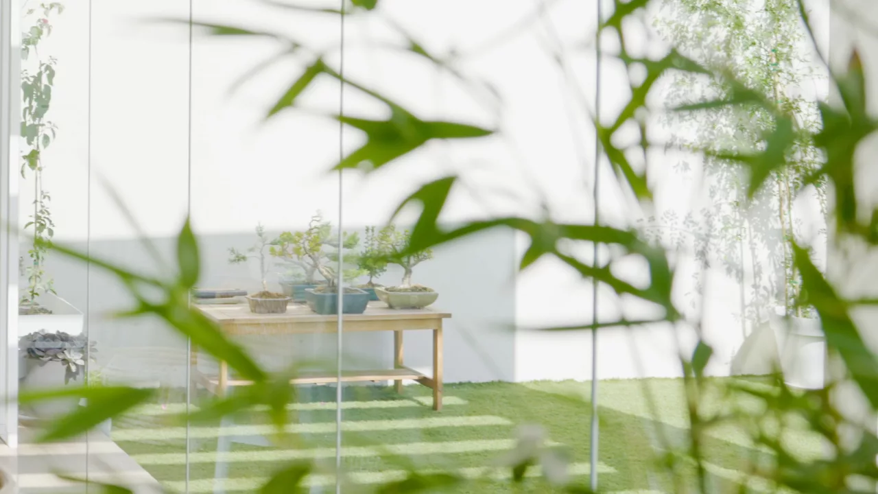 Blick von einer verglasten Terrasse in den begrünten Hinterhof