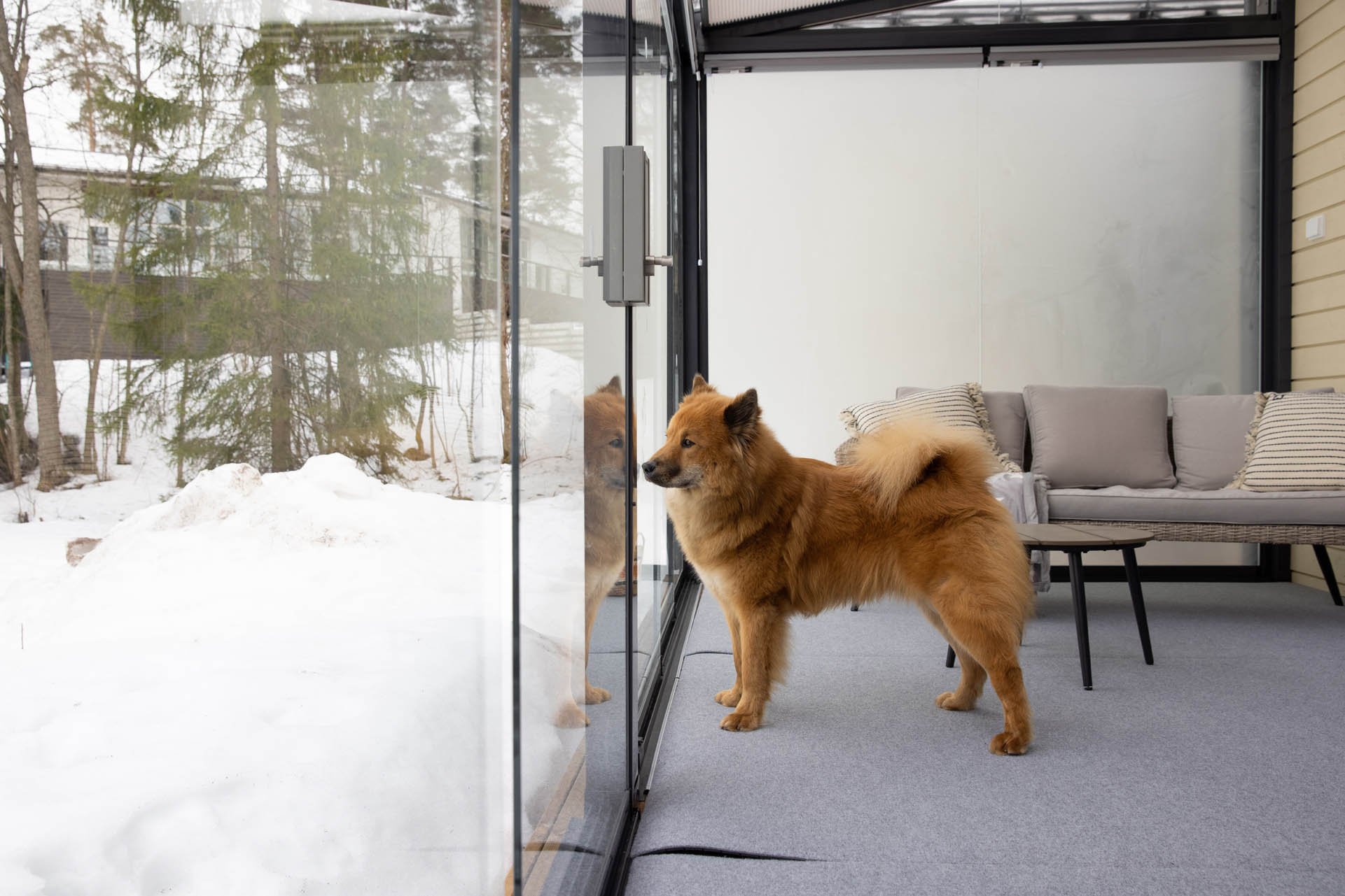 ekstra plads til hunden med lumon terrasseglas afskærmning