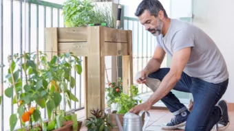 Automatizar un huerto de terraza con domótica